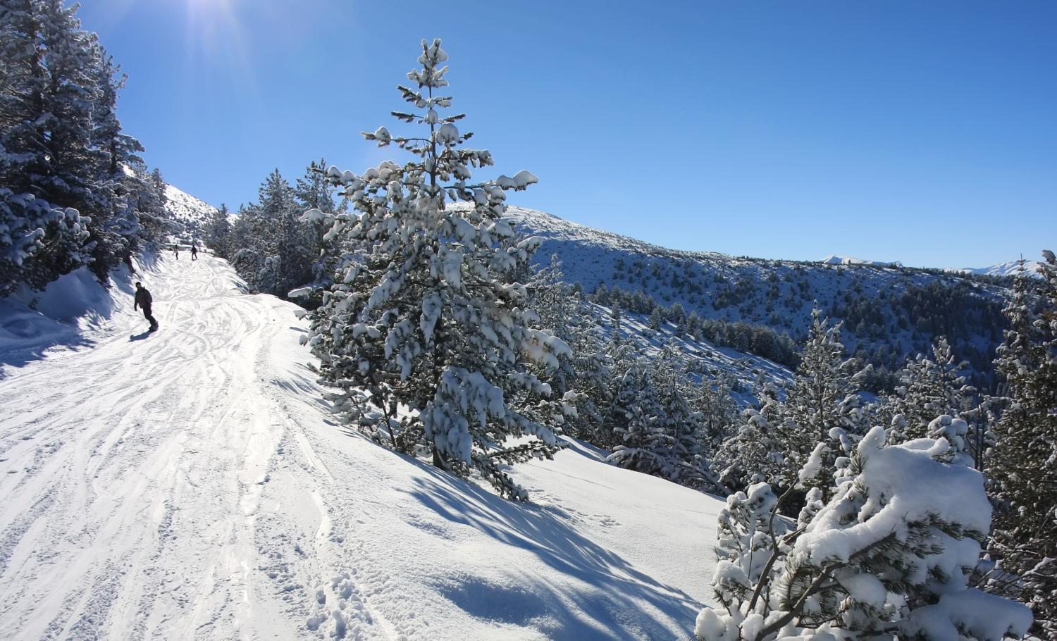 Charming One Bed Apartment 423 In Main Flora Building Borovets Buitenkant foto