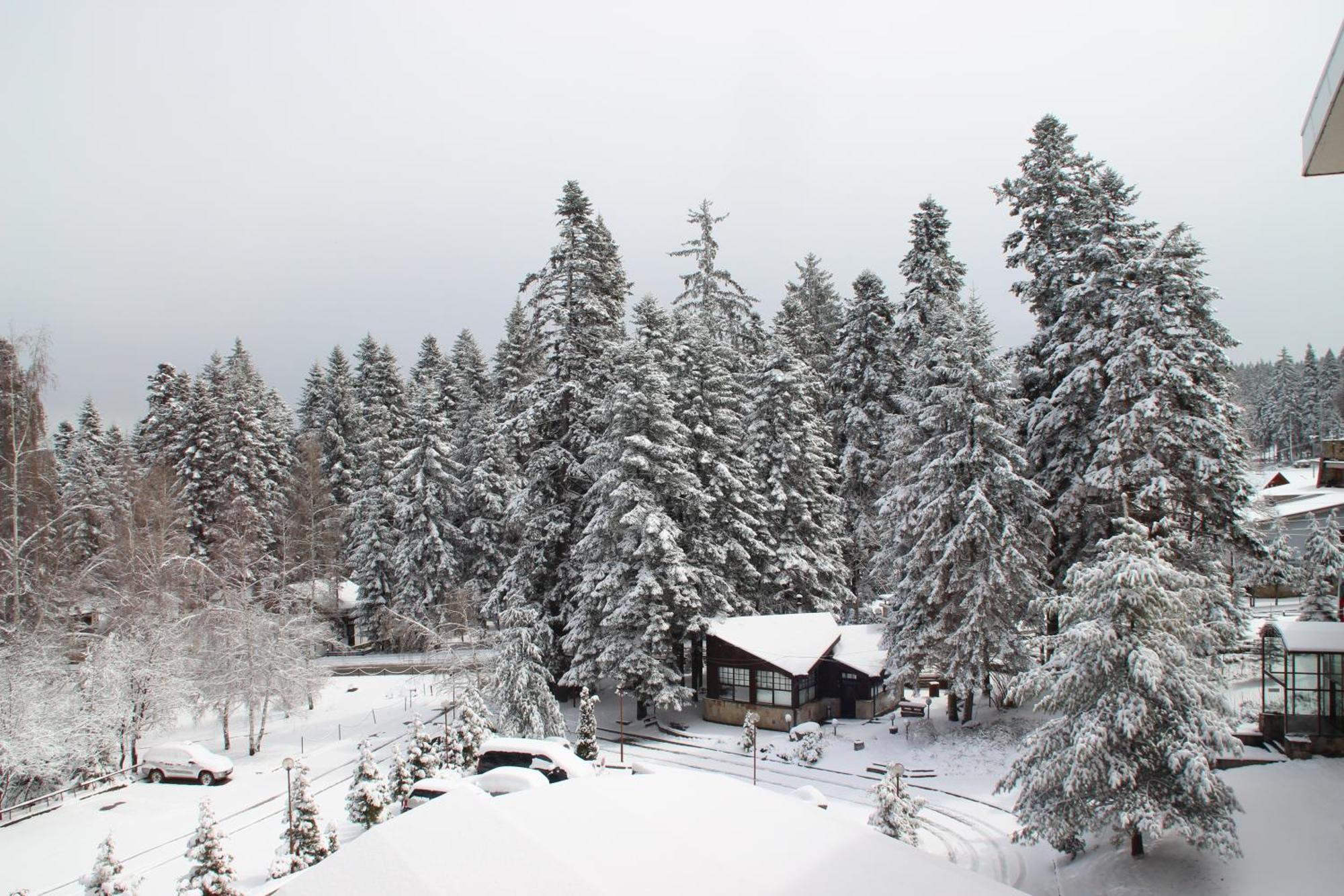Charming One Bed Apartment 423 In Main Flora Building Borovets Buitenkant foto
